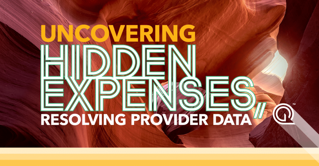 The Hidden Costs of Not Having Accurate Provider Data & How to Solve It
